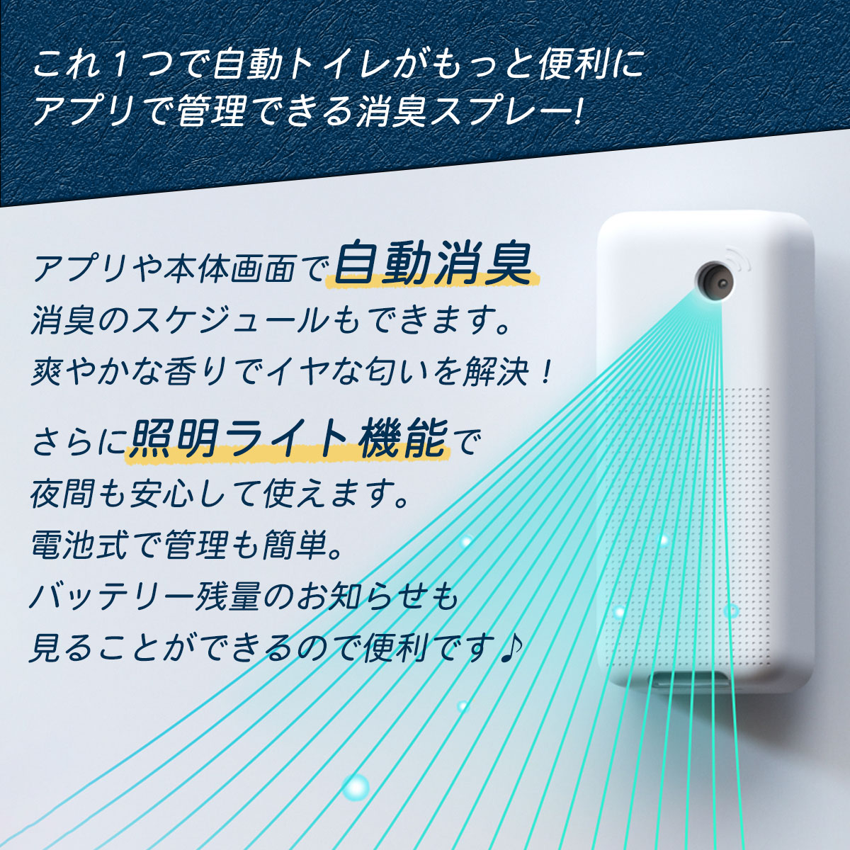 pk007_02.jpg
