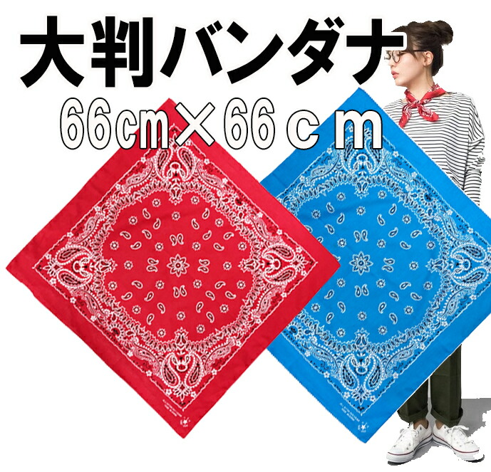 imgrc0106831161.jpg
