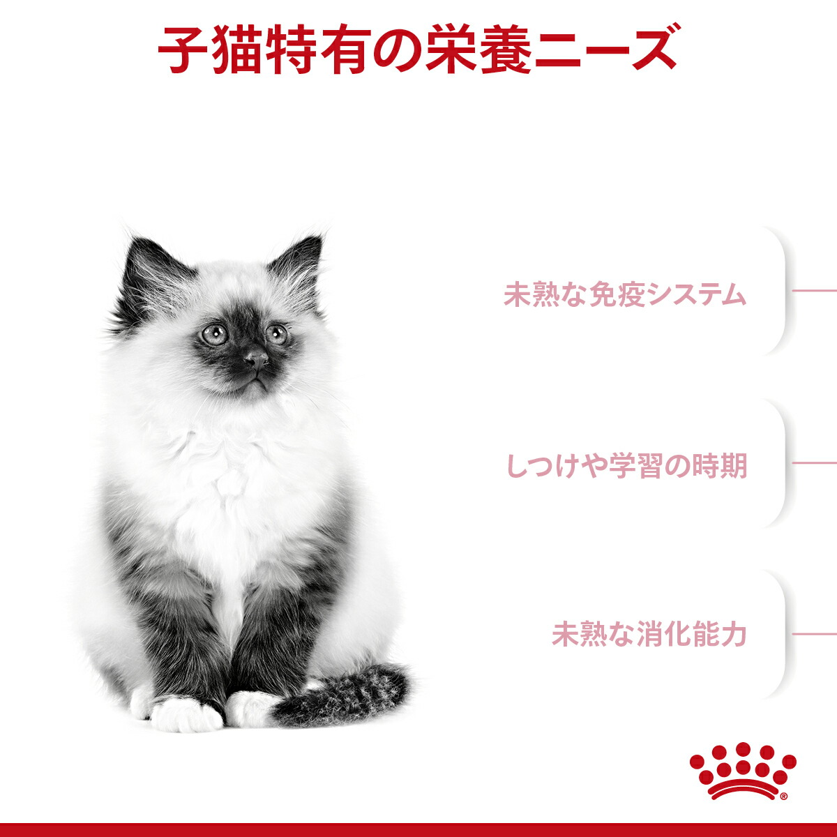 楽天市場】【賞味期限:2027/5/23】[ 正規品 送料無料 ] ロイヤルカナン