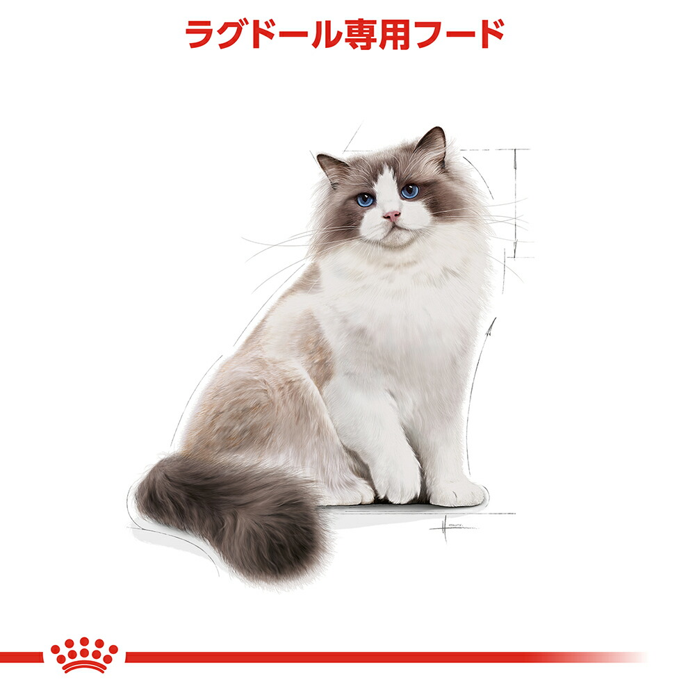 楽天市場】【賞味期限:2027/5/19】[ 正規品 送料無料 ] ロイヤルカナン