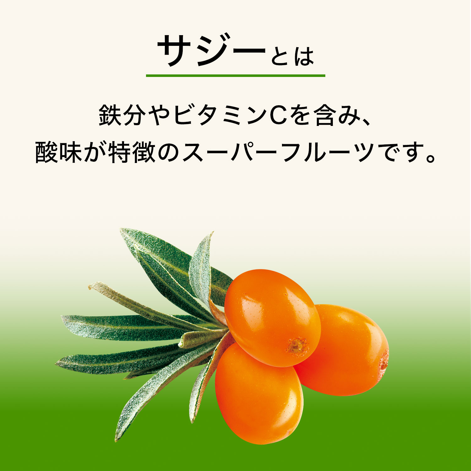 楽天市場】[送料無料] 野菜ジュース96本 伊藤園 [1日分の野菜 充実野菜