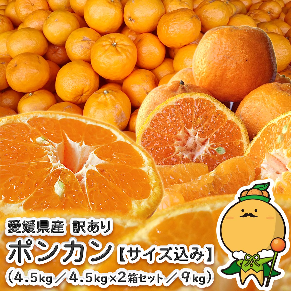 楽天市場】愛媛県産 訳あり ポンカン サイズ込み 送料無料 宇和島 自宅