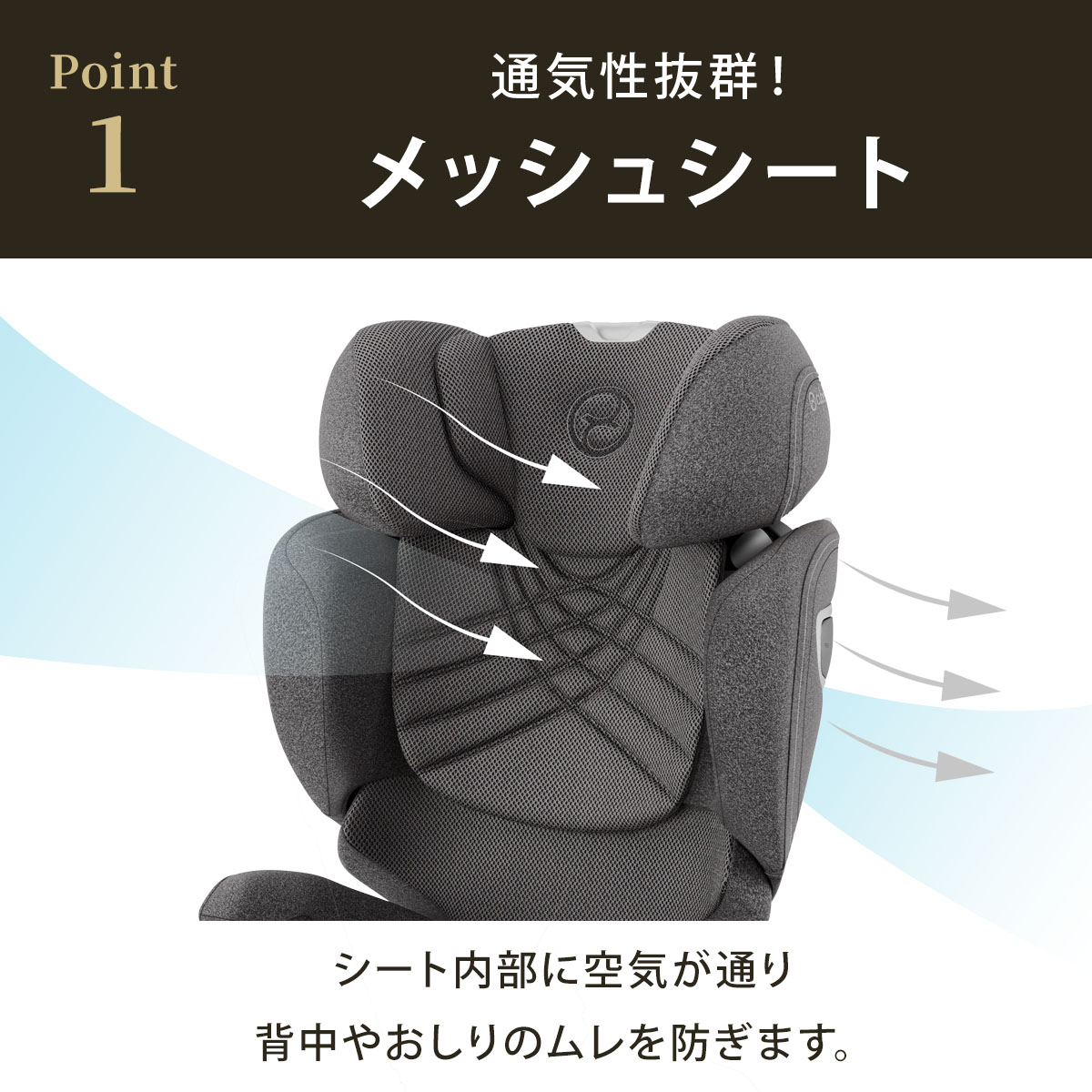 楽天市場】サイベックス ソリューション T アイフィックス ( 3歳 ~ 12