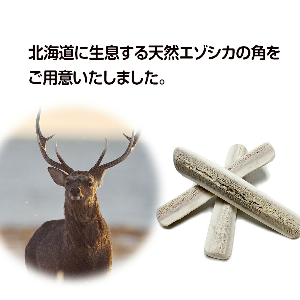 楽天市場】【ふるさと納税】鹿の角 エゾシカ 犬のおもちゃ 『鹿角さん