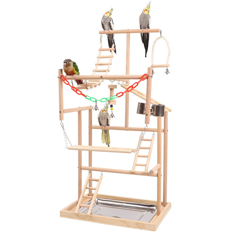 楽天市場】インコ 遊び場 三層 バード アスレチック 玩具 スタンド