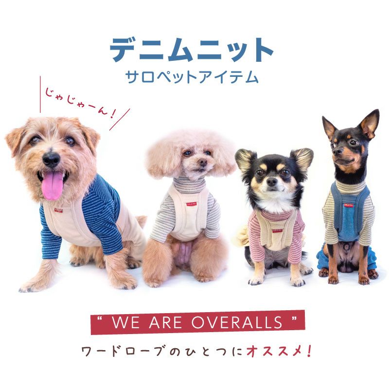 楽天市場】犬 服 春 デニム ニット サロペット パンツ おそろコーデ