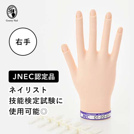 楽天市場】◇JNEC認定 STモデルハンド 右手 チップ差込式(ネイルチップ