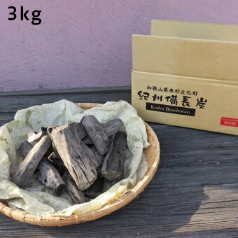 樫 木炭」の人気商品一覧 | 安い商品を通販サイトから探す - 価格.com