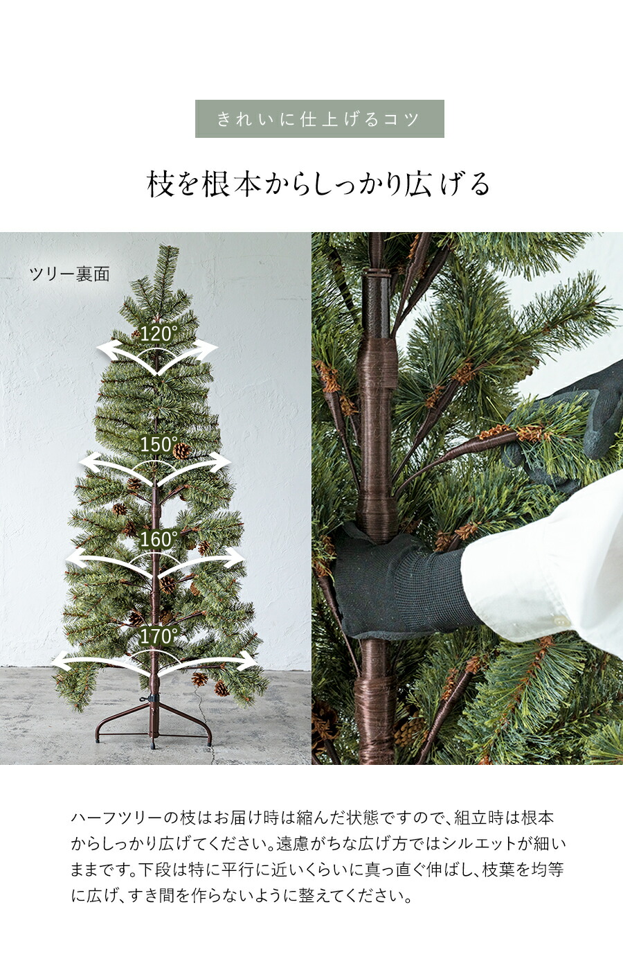 楽天市場】【公式 Alsace(R) 正規品】クリスマスツリー 2026ver