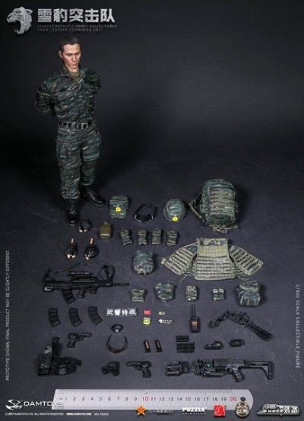 楽天市場】【DAMTOYS】78052 1/6 CHINESE PEOPLE'S ARMED POLIC中国