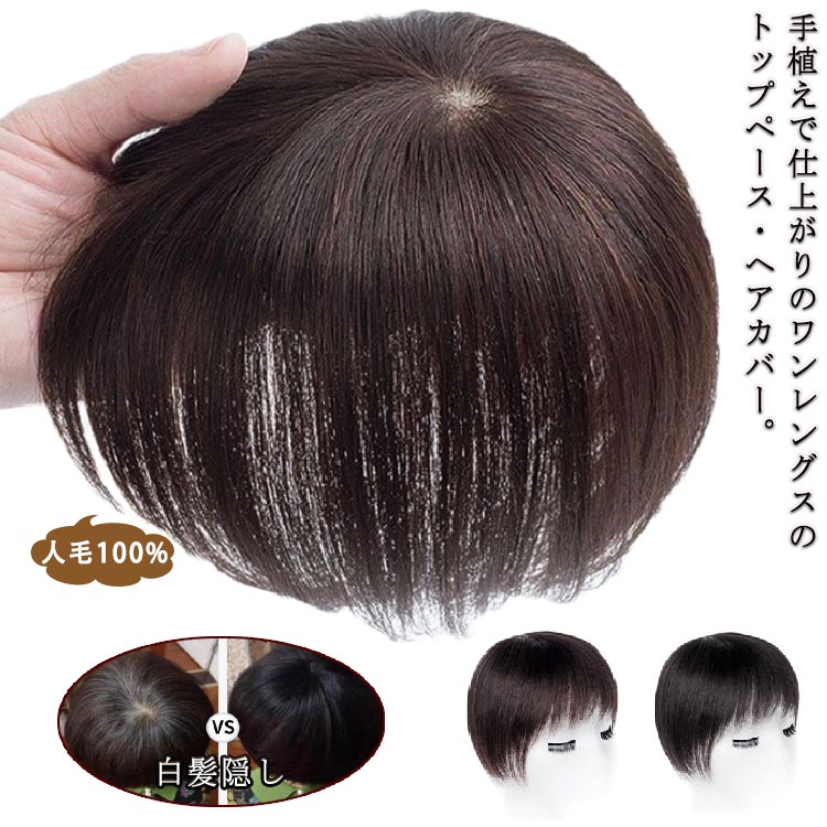 楽天市場】部分ウィッグ つけ毛 トップピース ヘアピース 人毛100