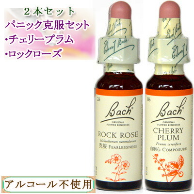 楽天市場】【お買い物マラソン最大2222円割引クーポン配布中