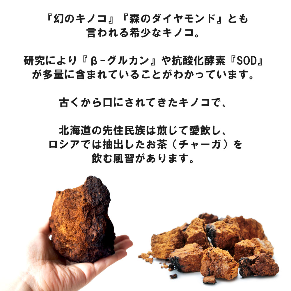 楽天市場】【半額クーポン限定配布中】カバノアナタケ茶 北海道産