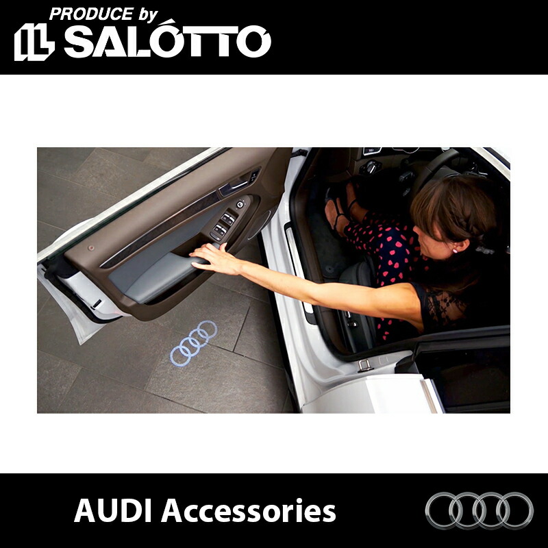 audi_fder_3.jpg