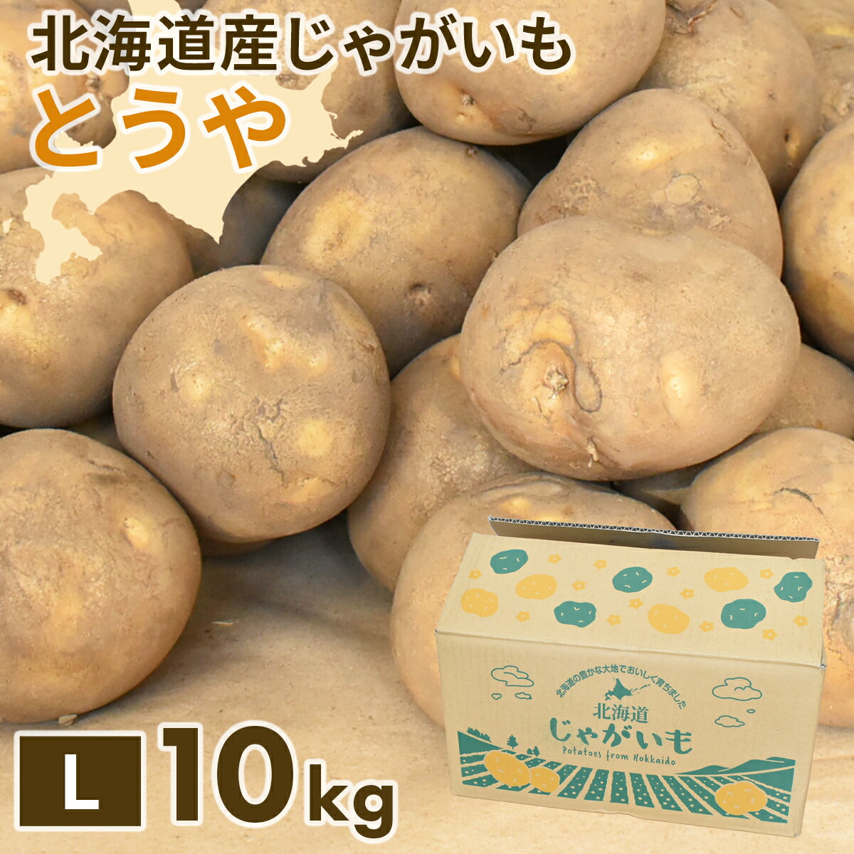 楽天市場】じゃがいも 種芋 10kgの通販