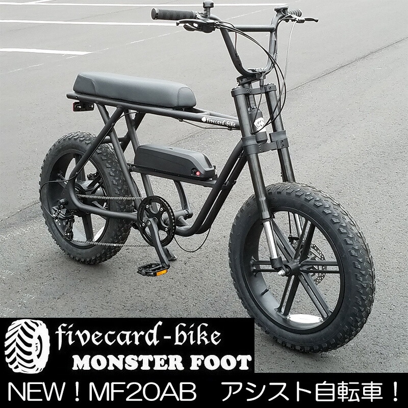 fivmf20ab01.jpg