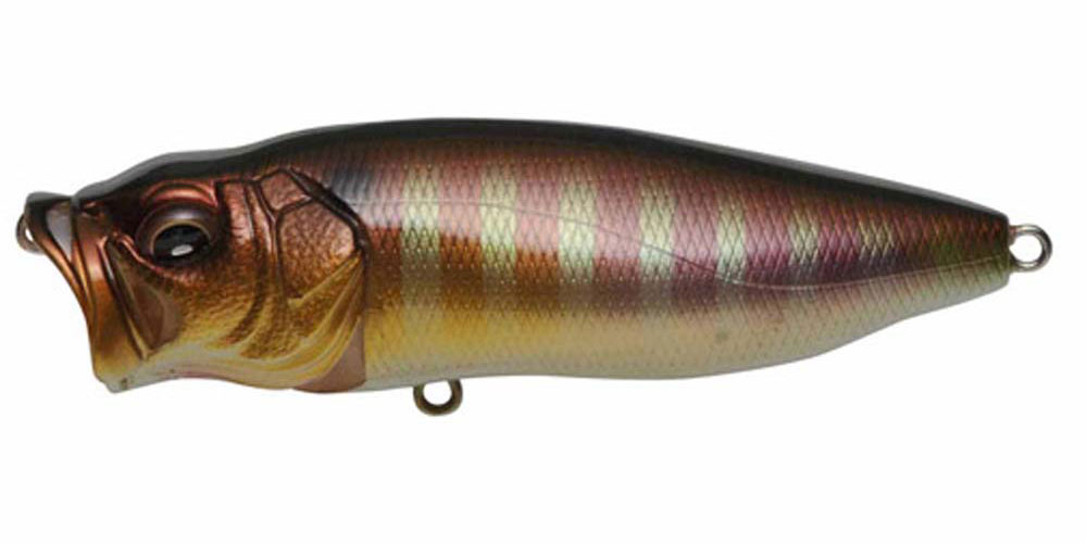 楽天市場】メガバス Megabass ポップマックス POP MAX : Japan Bass Tackle