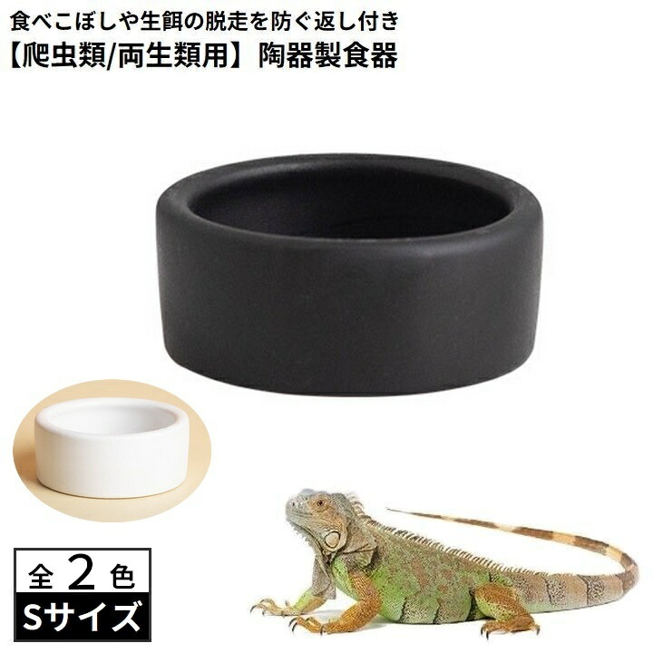 楽天市場】送料無料 エサ入れ 餌入れ 水入れ S 爬虫類 両生類 陶器