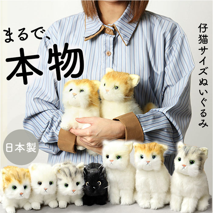 楽天市場】童心 ぬいぐるみ 猫 定番 リアル ネコ ねこ 猫のぬいぐるみ