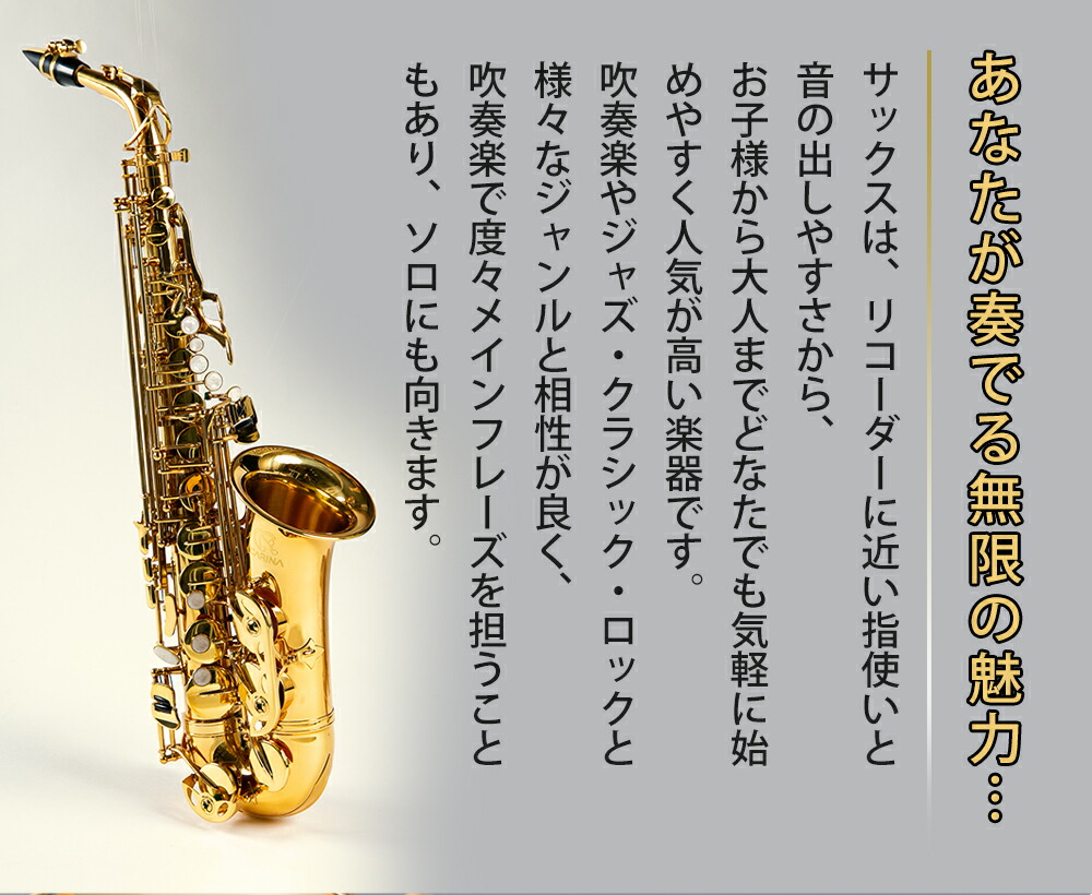 sakux2_03.jpg