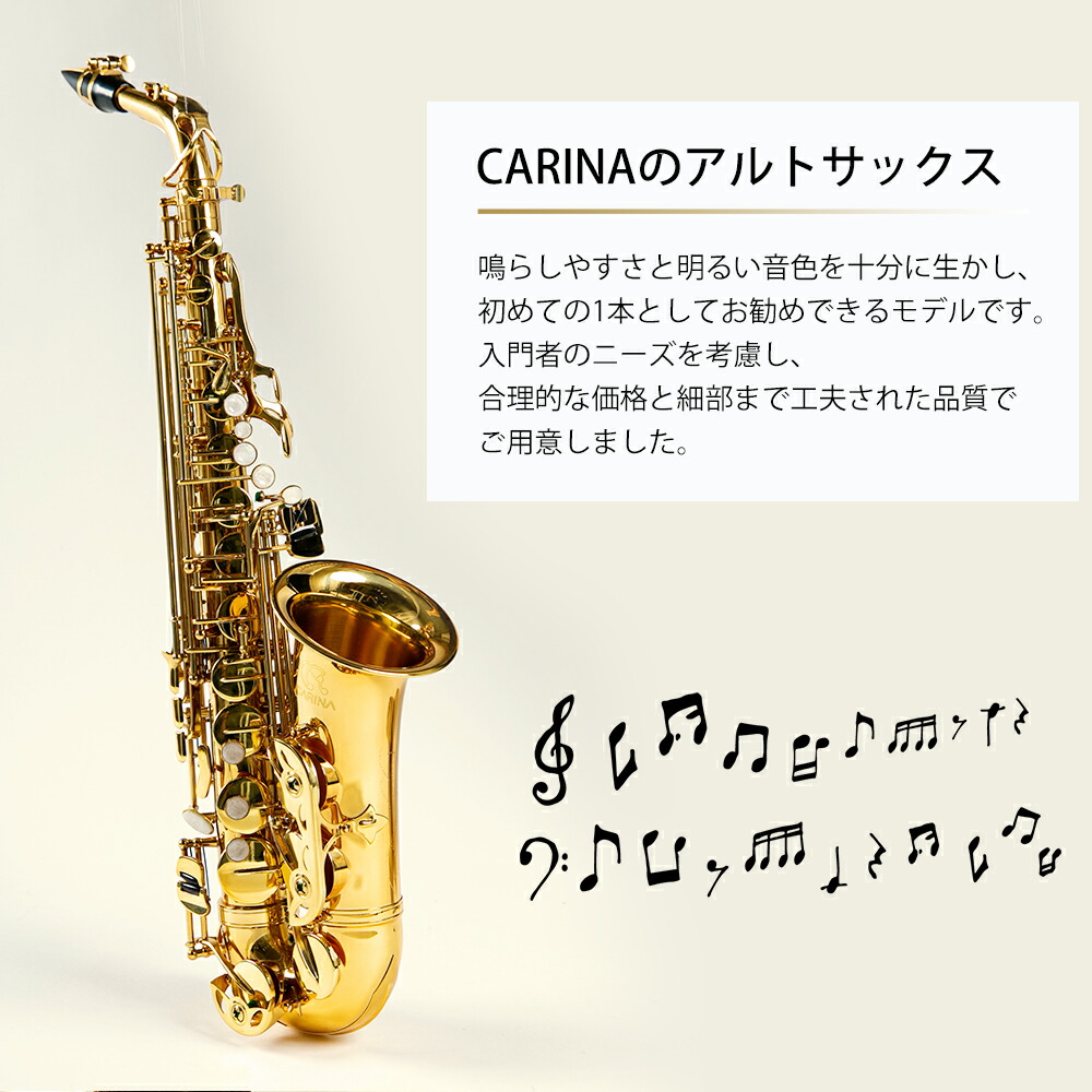 sakux2_05.jpg