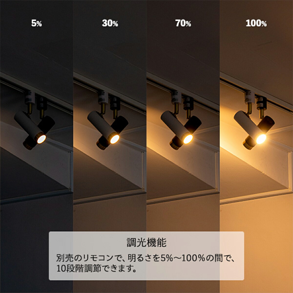 楽天市場】【先着半額クーポン】LED スポットライト 1灯 ノーシュ