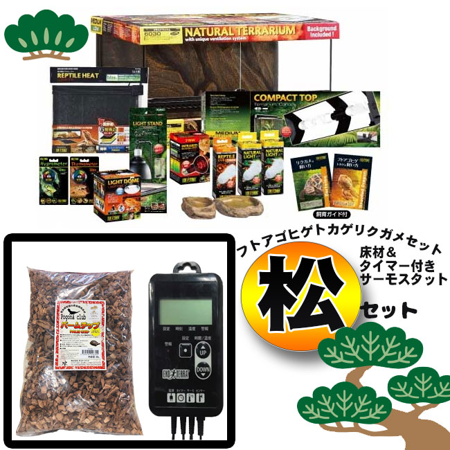 楽天市場】【フトアゴヒゲトカゲ 飼育セット松】初心者向け｜ケージ