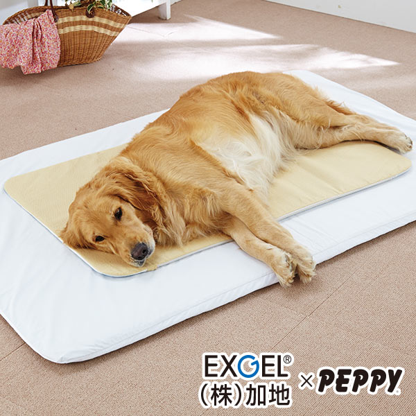 楽天市場】エクスジェルマット M 50×60cm 犬 介護ベッド シニア 床ずれ