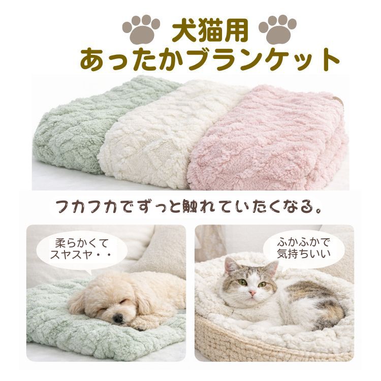 楽天市場】子犬と子猫の診療ガイド 本 書籍 ペット 犬 猫 md 子犬 子猫