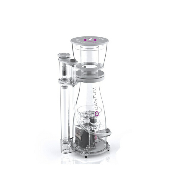 楽天市場】ゼンスイ NYOS QUANTUM 160 60Hz 西日本