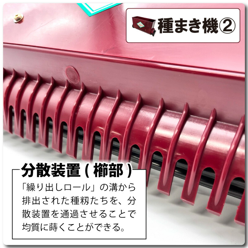 楽天市場】【3/31までエントリーで最大100%Pバック】セット みくに式