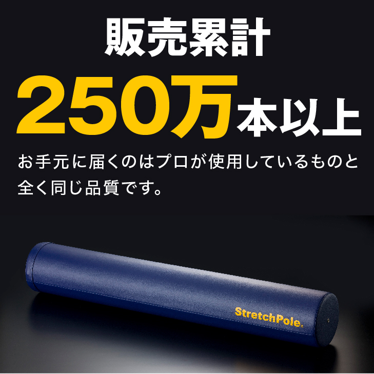 楽天市場】LPN ストレッチポールMX(ネイビー)スタートBOOK