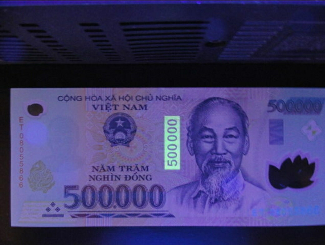 楽天市場】【品質保証書付】ベトナム ドン 50万ドン 5枚 ベトナムドン