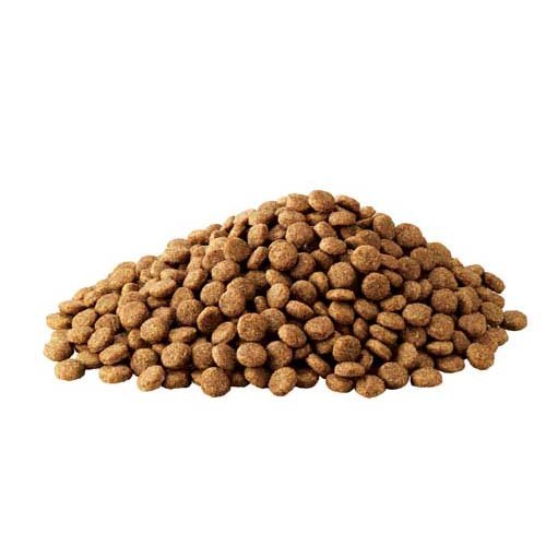 楽天市場】アイムス成犬用健康維持用チキン小粒( 8kg×2袋セット