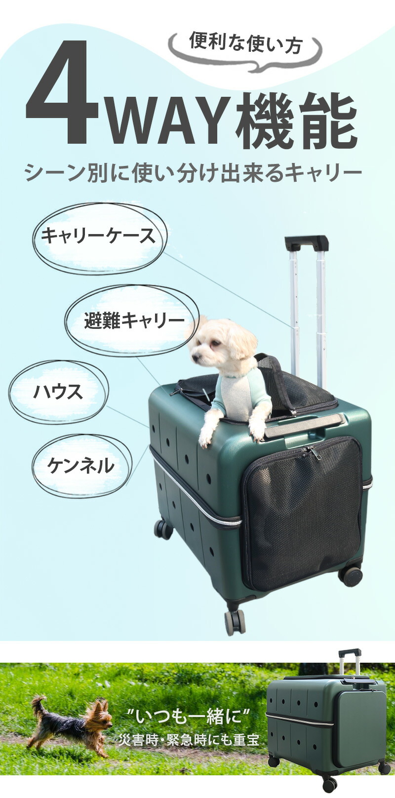 楽天市場】【RETOO公式】☆2025年リニューアル☆ ペットネル ペット