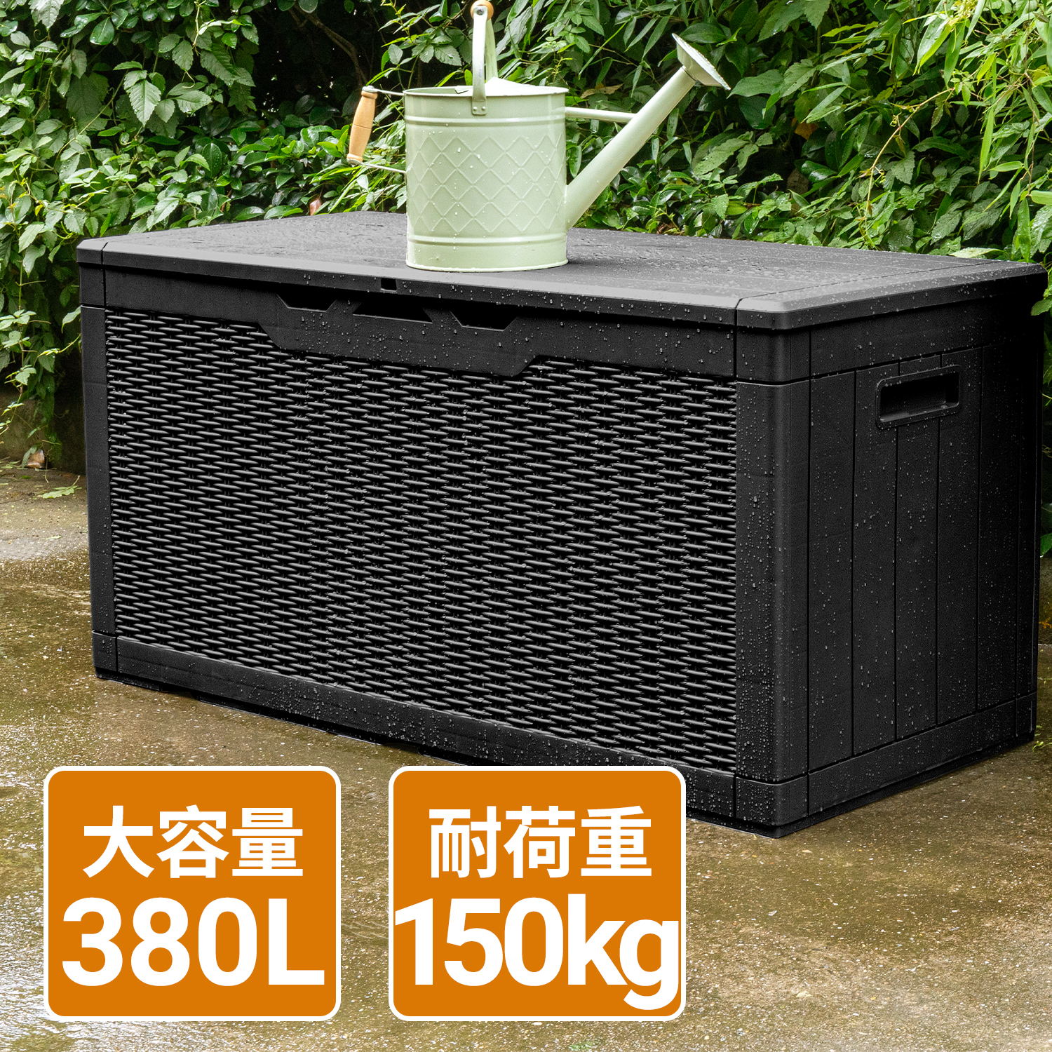 楽天市場】【3/3迄 1000円クーポンで13,999円】【楽天1位30冠】Alebert