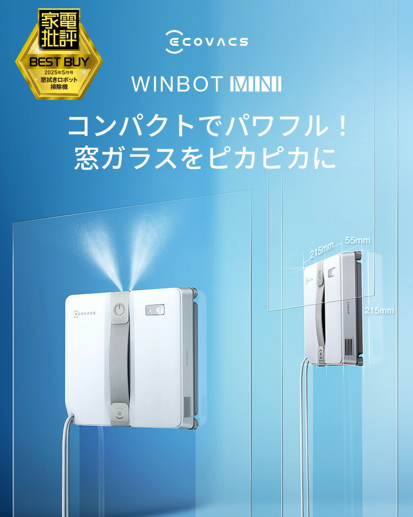 楽天市場】【クーポン利用で24,800円！3/3 20:00〜3/16 09:59】窓掃除