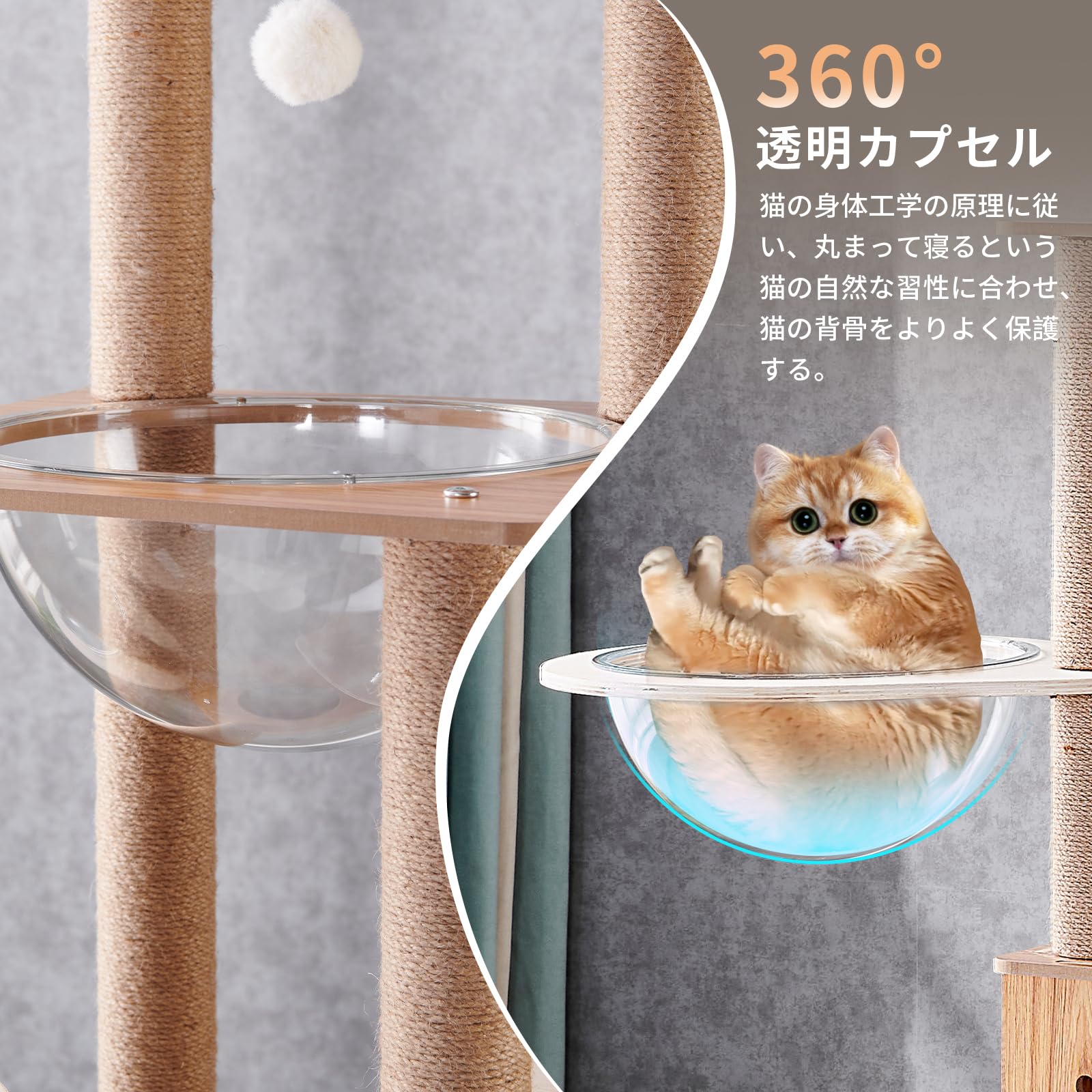 楽天市場】キャットタワー 木製 宇宙船透明ボウル付き 高さ約161cm