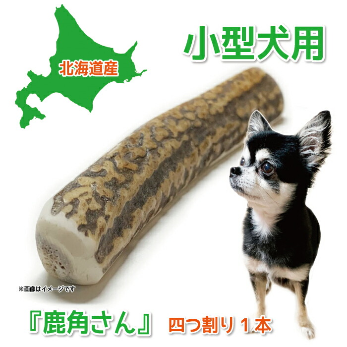 楽天市場】【小型犬用 蝦夷鹿の角】犬のおもちゃ『鹿角さん』 髄出し四
