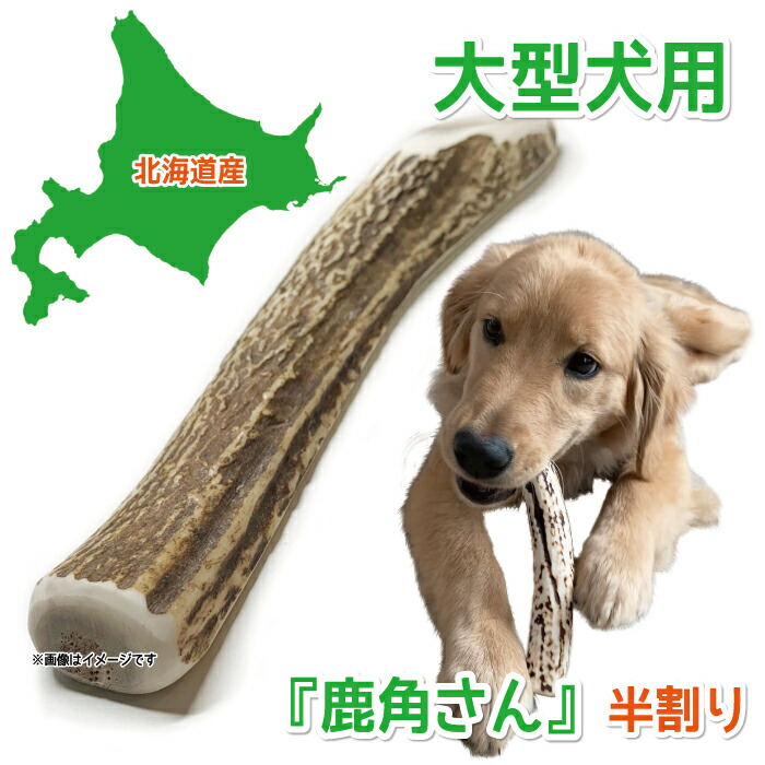 楽天市場】【大型犬用 蝦夷鹿の角】『鹿角さん』半割り 1本 サイズ（長