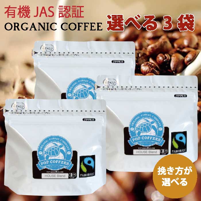 楽天市場】ムセッティ エボリューション コーヒー豆 500g [MB500-EV