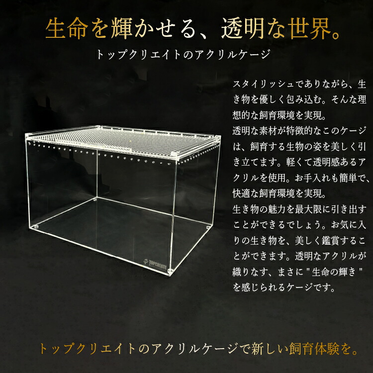 楽天市場】爬虫類ケージ アクリルケージ L 約 W30×D40×H25 (レプタイル