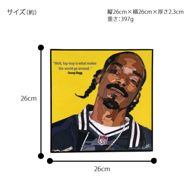 af-241-th-snoop_4.jpg