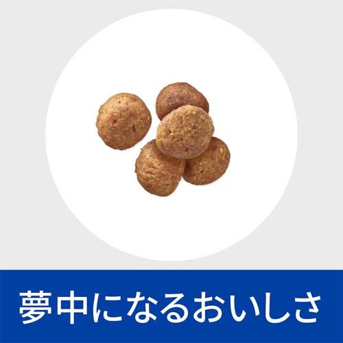 楽天市場】腸内バイオーム 小粒 チキン 繊維/消化ケア 犬用 特別療法食