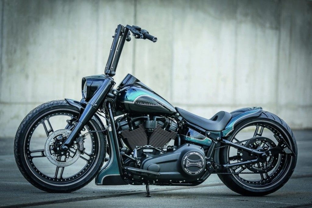 楽天市場】THUNDER BIKE サンダーバイク GP Style Long チンスポイラー