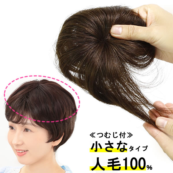 楽天市場】ウィッグ 部分ウィッグ ヘアピース 人毛100％ 円形脱毛症