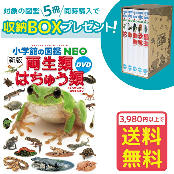 楽天市場】【収納BOX付・送料無料・条件有】小学館の図鑑NEO［新版