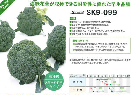 sk9-099.jpg