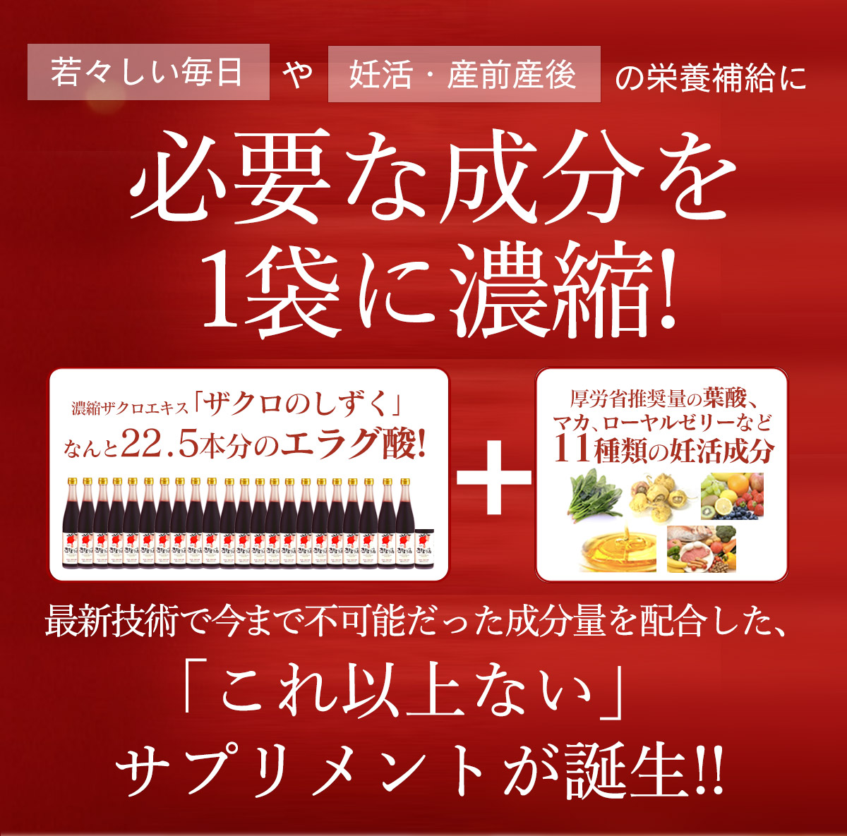 楽天市場】[ポイント2倍!3/11 1:59迄]楽天スーパーSALE半額! 福袋 強力