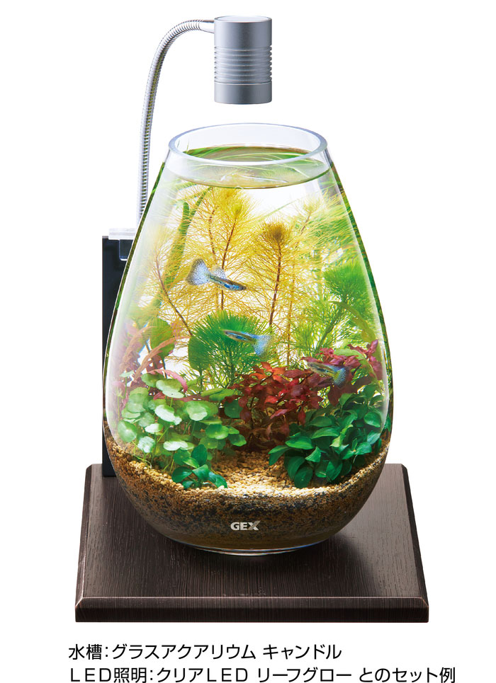 GEX60センチ水槽LEDライト 白色1色 3個セット GEX60センチ水槽LED